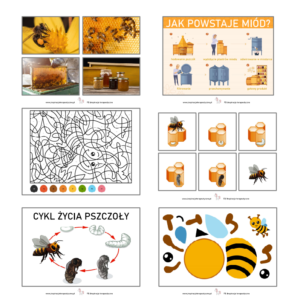 Pszczoły (47 stron) pdf