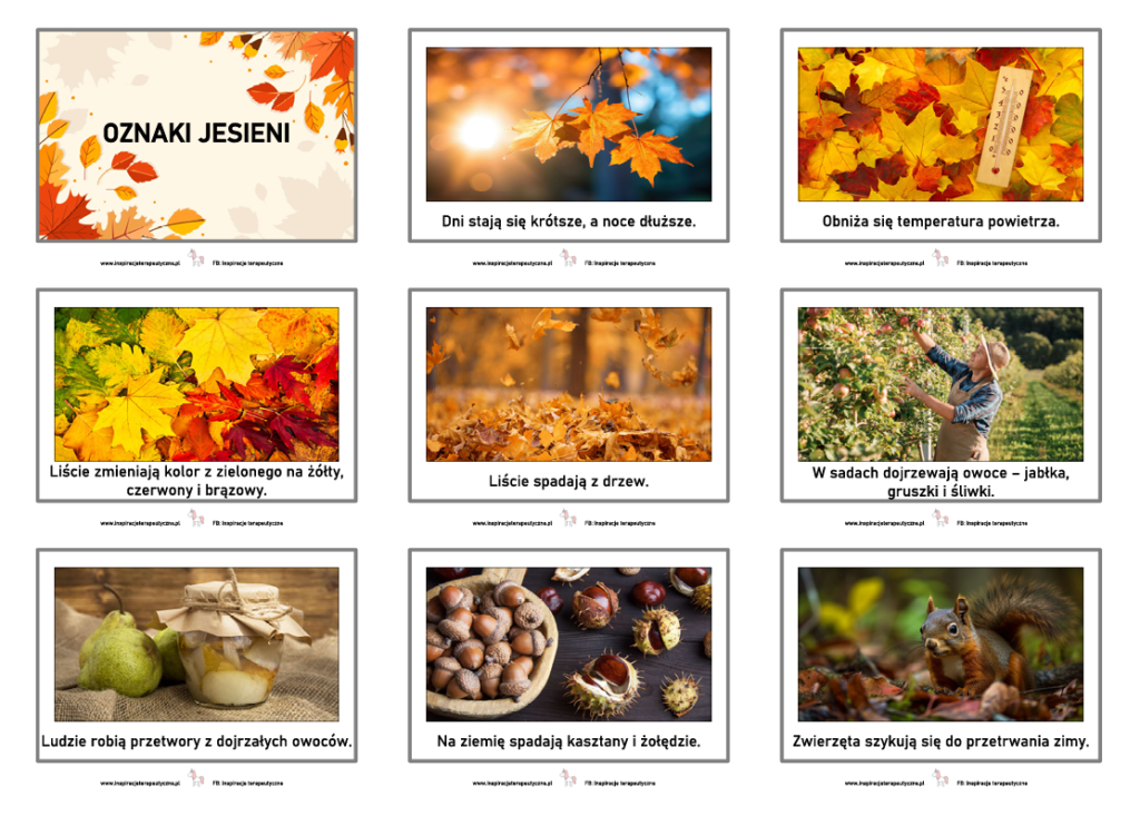 Oznaki jesieni (18 stron) pdf - Inspiracje terapeutyczne