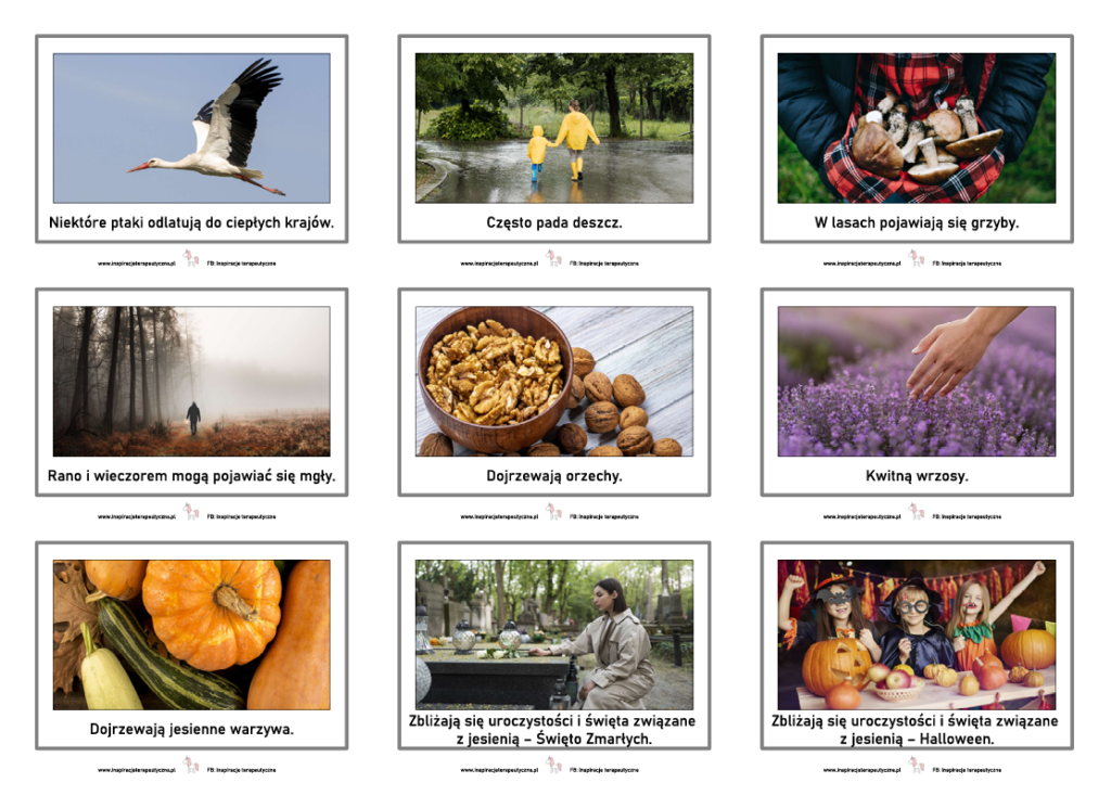 Oznaki jesieni (18 stron) pdf - Inspiracje terapeutyczne